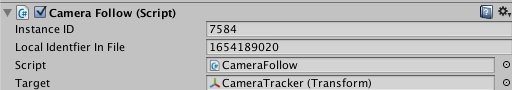3D Lagging Camera